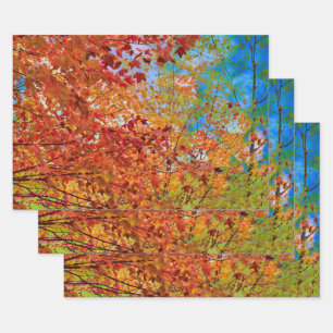 紅葉カラフルオレンジ秋主題青空 ラッピングペーパーシート