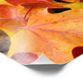 紅葉カラフル写真アートプリント フォトプリント            (角)