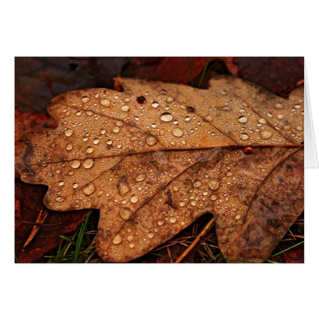 紅葉カード (正面横)