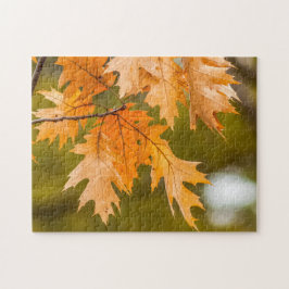 紅葉クローズアップ写真パズル ジグソーパズル