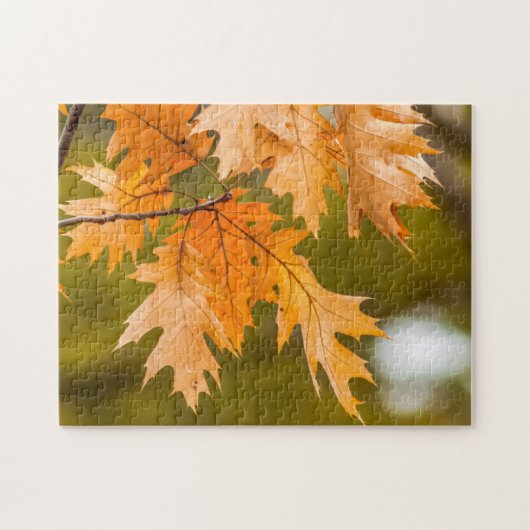 紅葉クローズアップ写真パズル ジグソーパズル (横)