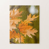 紅葉クローズアップ写真パズル ジグソーパズル (縦)