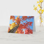 紅葉グリーティングカードカラフル秋ツリー カード (黄色い花)