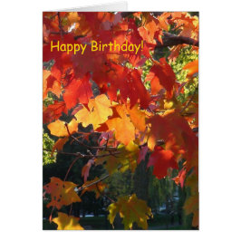 紅葉グリーティングカード