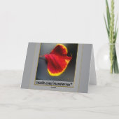 紅葉グリーティングカード カード (裏面)