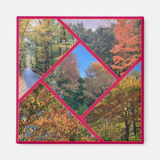 紅葉コラージュ マグネット (正面)