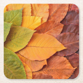 紅葉コースター：自然のTouch スクエアペーパーコースター