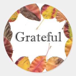 紅葉サラウンドタイポグラフィ ラウンドシール