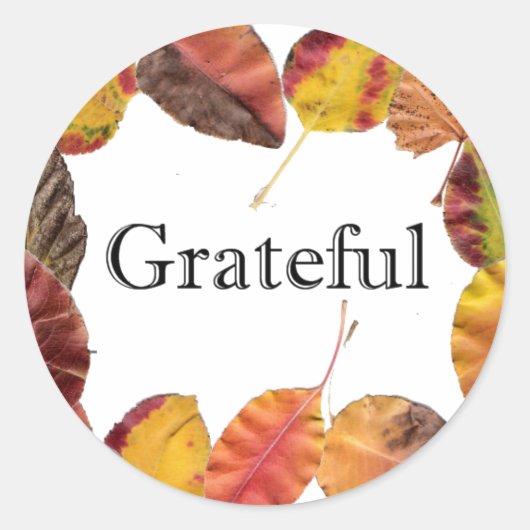 紅葉サラウンドタイポグラフィ ラウンドシール (正面)