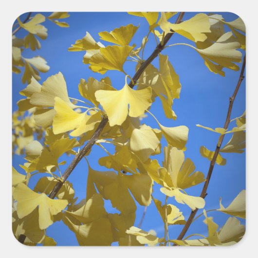 紅葉シール スクエアシール (正面)