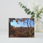 「紅葉シーン」 ポストカード (スタンド正面)