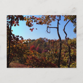 「紅葉シーン」 ポストカード