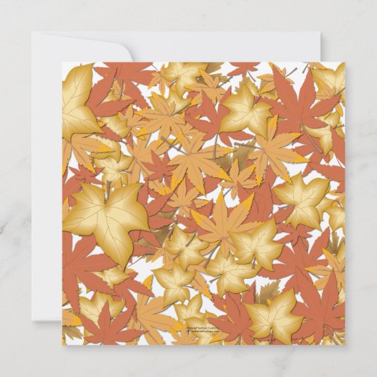 紅葉スクエア招待状 招待状 (裏面)