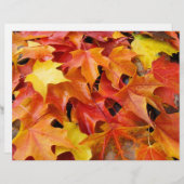 紅葉スクラップブック作り紙紅葉 (正面/裏面)