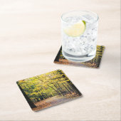 紅葉ズアットクヤホガバレーナショナルパーク スクエアペーパーコースター (インサイチュ)