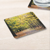 紅葉ズアットクヤホガバレーナショナルパーク スクエアペーパーコースター (アングル)
