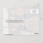 紅葉ズバイジョンエバレットミラリス ポストカード (裏面)