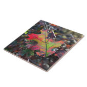 紅葉セラミックタイル タイル (側面)