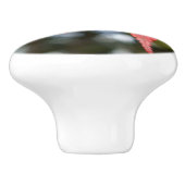 紅葉セラミックノブ セラミックノブ (側面)