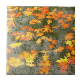 紅葉タイル タイル (正面)