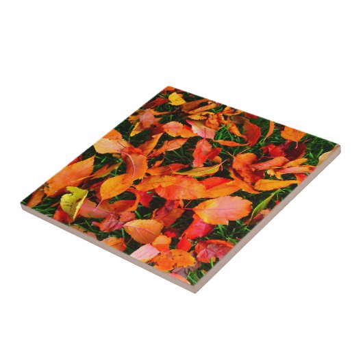 紅葉タイル タイル (側面)