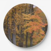 紅葉チューリップポプラールツリー ペーパープレート (正面)