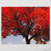 紅葉ツアー ハロウィンイベント 秋のイベントチラシ チラシ (裏面)