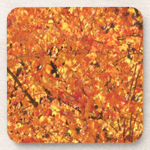 紅葉ツリー – 写真。