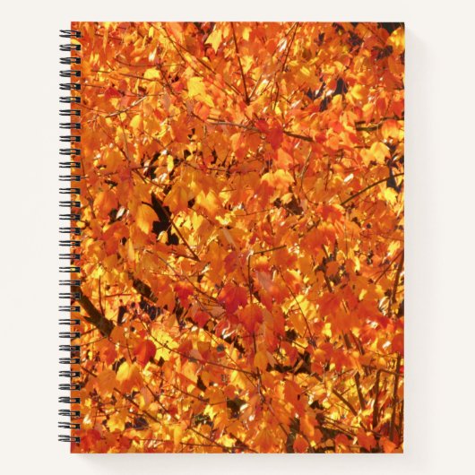 紅葉ツリー – 写真。 ノートブック (正面)
