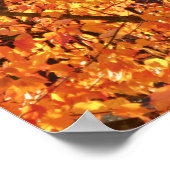 紅葉ツリー – 写真。 ポスター (角)