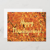 紅葉ツリー – 写真。 ポストカード (正面/裏面)