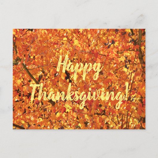 紅葉ツリー – 写真。 ポストカード (正面)