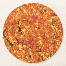 紅葉ツリー – 写真。