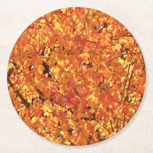 紅葉ツリー – 写真。 ラウンドペーパーコースター (正面)