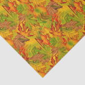 紅葉ティッシュペーパー 薄葉紙 (詳細)