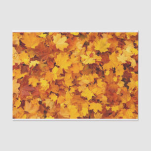 紅葉ティッシュペーパー 薄葉紙