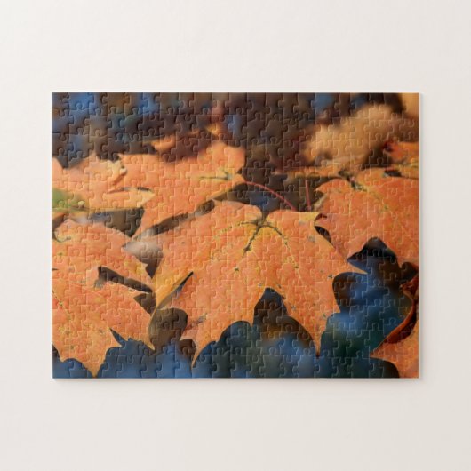 紅葉パズル ジグソーパズル (横)