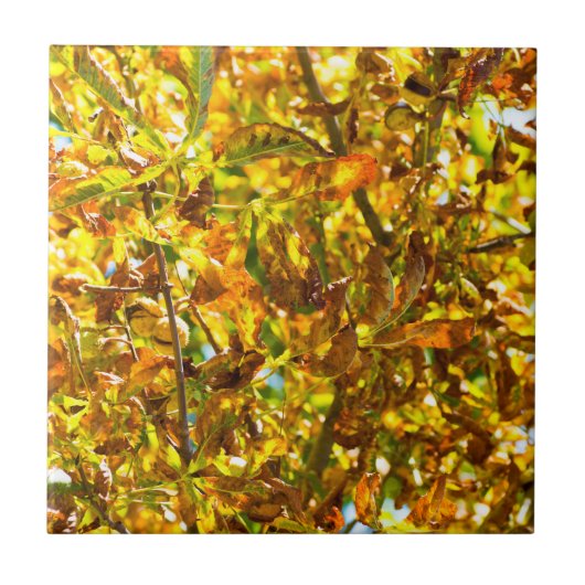 紅葉パターン タイル (正面)