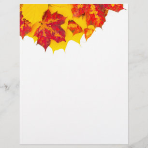 紅葉パターン チラシ