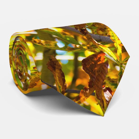 紅葉パターン ネクタイ (ロール)