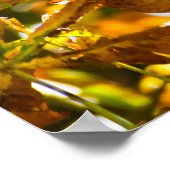 紅葉パターン ポスター (角)