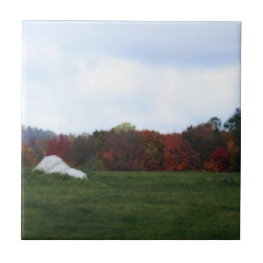 紅葉フィールド自然アートタイル タイル (正面)