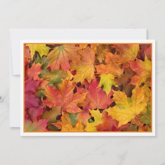 紅葉フォトウェディング日付の保存招待状 招待状 (裏面)