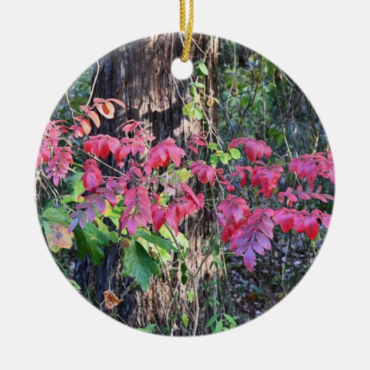 紅葉フォトオーナメント セラミックオーナメント (正面)