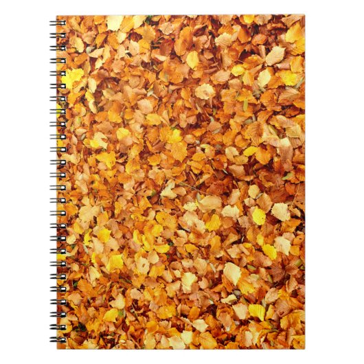 紅葉フォトノートブック ノートブック (正面)