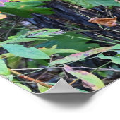 紅葉フォトポスター ポスター (角)