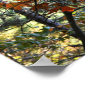 紅葉フォトポスター ポスター (角)