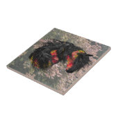 紅葉フリージアンホース タイル (側面)