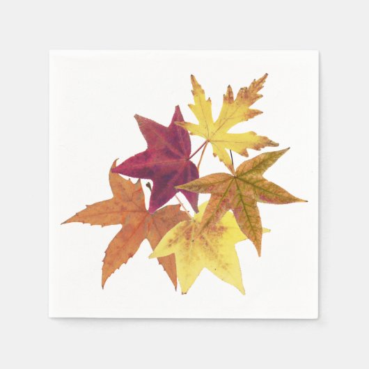 紅葉プリントナプキン スタンダードカクテルナプキン (正面)