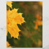 紅葉ホリデークラフトバザールフライヤー チラシ (裏面)